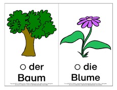 Bild-Wort-Karten-Natur.pdf